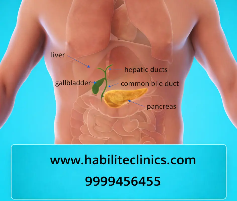 What is Gallbladder Explained by Dr. Kapil Agrawal Best Gallbladder Stone Surgeon in Delhi