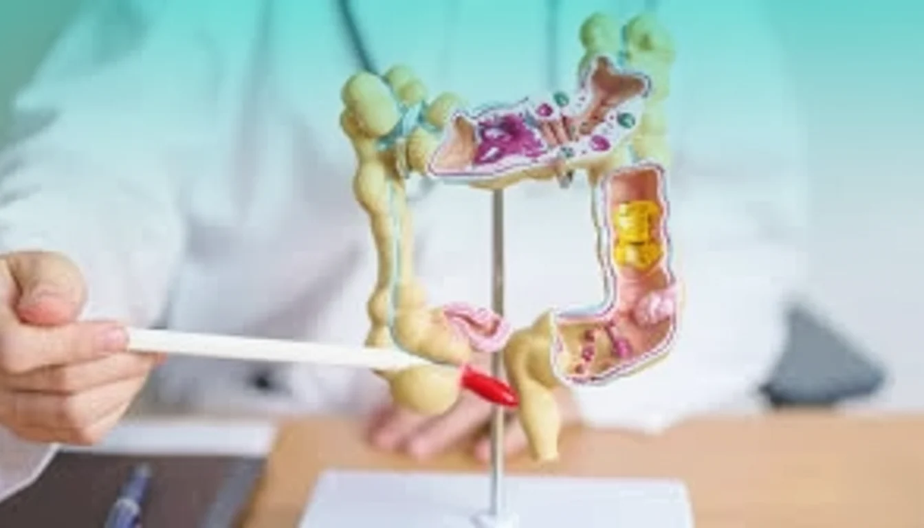 What is Appendicitis? Stages, Symptoms & Treatment | Habilite Clinics