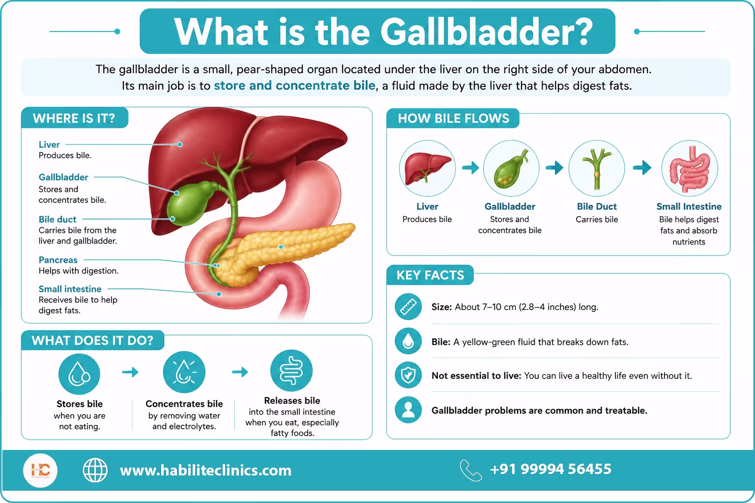 what is gallbladder