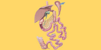 Bariatric Weight Loss Surgery- Duodenal Jejunal Bypass - Habilite Clinics